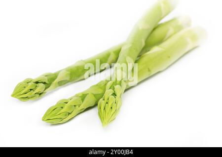 Tre freschi Asparagi verdi spears su sfondo bianco Foto Stock