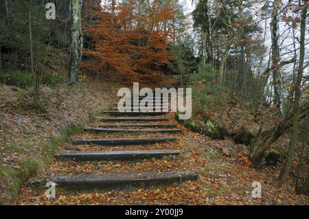 Salita a Papststein, in Svizzera sassone salita a Papststein, in Svizzera sassone Foto Stock