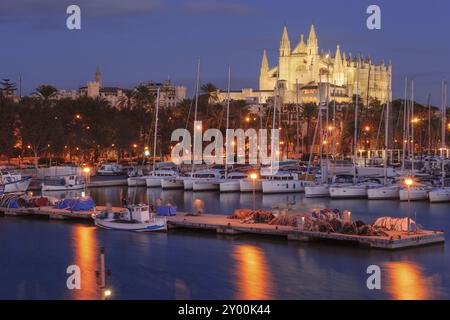 Cattedrale di Maiorca dal molo di Riba, XIII secolo, monumento storico-artistico, Palma, maiorca, isole baleari, spagna Foto Stock