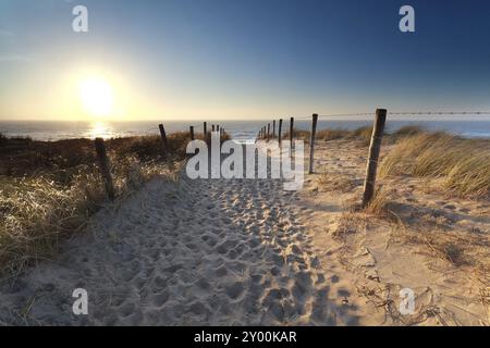 Sentiero sulla sabbia fino alla spiaggia del mare settentrionale al tramonto, Zandvoort aan Zee, Olanda settentrionale, Paesi Bassi Foto Stock