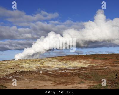 L'area ad alta temperatura di Gunnuhver in Islanda Foto Stock