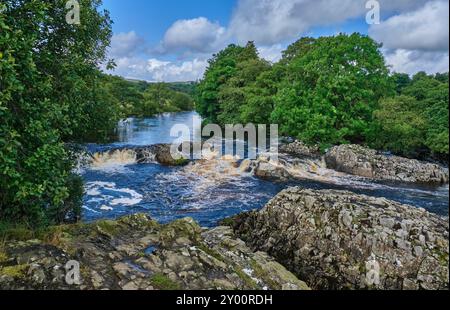 Il fiume Tees vicino a Low Force Waterfall, River Tees, Teesdale, vicino a Newbiggin, contea di Durham Foto Stock