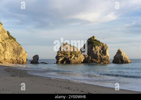 Spiaggia paradisiaca di Ribeiro do Cavalo nel Parco naturale di Arrabida a Sesimbra, Portogallo, Europa Foto Stock