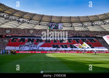 Stoccarda, Germania. 31 agosto 2024. Choreo, Choreographie, Fanaktion CANNSTATTER KURVE VfB Stoccarda vs 1. FSV MAINZ 05 31.08.2024 LE NORMATIVE DFL VIETANO QUALSIASI UTILIZZO DI FOTOGRAFIE COME SEQUENZE DI IMMAGINI E/O QUASI-VIDEO/DPA/ALAMY LIVE NEWS Foto Stock