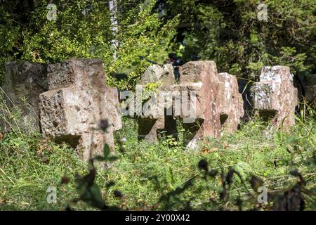 Antiche lapidi di arenaria colorata ricoperte di erba e erbacce si erbacce in fila Foto Stock