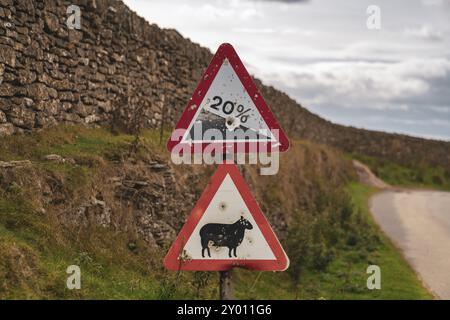 Segno: 20% discesa, attenzione pecore, visto vicino Levisham, North Yorkshire, Inghilterra, Regno Unito Foto Stock