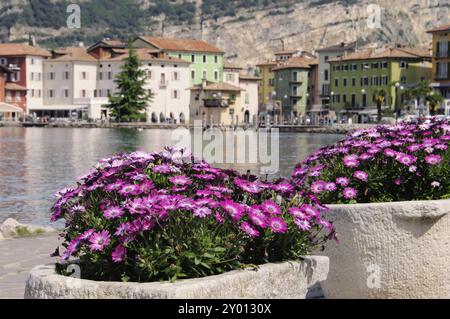 Nago Torbole 02 Foto Stock