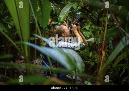 Turisti che scattano foto nella foresta pluviale, nella fitta vegetazione, nel Parco Nazionale di Tortuguero, in Costa Rica, in America centrale Foto Stock