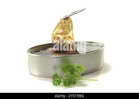 Una scatola di calamari con prezzemolo su sfondo bianco Foto Stock