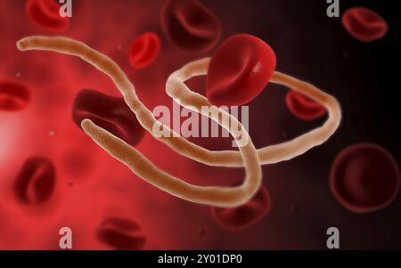 Immagine concettuale del virus ebola con le cellule del sangue Foto Stock