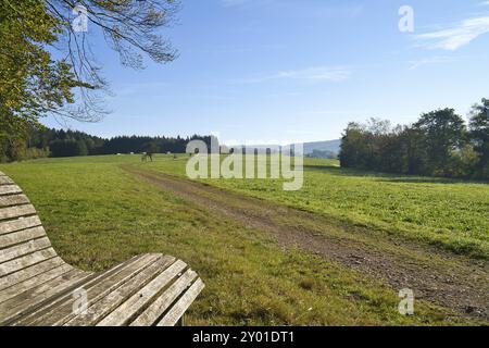 Prato con sentiero escursionistico in Renania-Palatinato. Vista sul campo con alberi sotto il cielo blu. Foto natura dal paesaggio Foto Stock