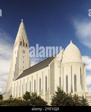 Hallgrimskirkja cattedrale in Reykjavik su una soleggiata giornata estiva con un cielo blu (visto dal retro) Foto Stock