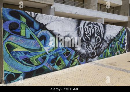 Santiago del Cile, Cile, 28 novembre 2015: Graffiti su un muro nelle strade del quartiere Bellavista, Sud America Foto Stock