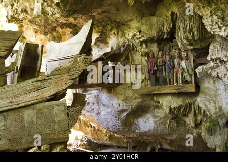 Le bare di legno e le effigie dei parenti deceduti sono appese in una grotta sepolcrale come dettano le usanze di Tana Toraja Foto Stock