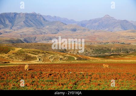 Il Regno nelle nuvole, il Lesotho ha molte splendide vedute Foto Stock