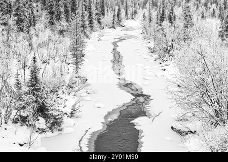 Freezing stream, Muddus National Park, Laponia, Patrimonio dell'Umanità, Norrbotten, Lapponia, Svezia, novembre 2013, Europa Foto Stock