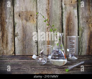 Piante verdi in attrezzature di laboratorio su rustico sfondo di legno Foto Stock