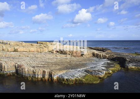 Vista sulla costa svedese sul mar baltico, vicino a skane, varhallen. Costa di Skane sul Mar Baltico in Svezia varhallen, oesterlen Foto Stock