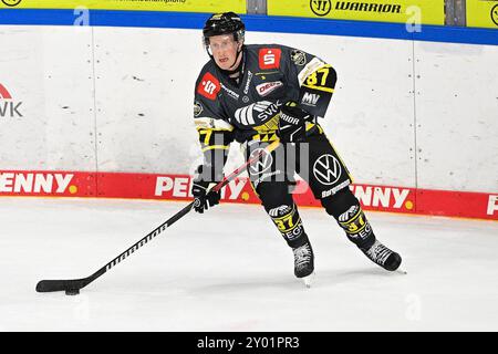 Eishockey DEL 24/25: Timocom NRW-Cup Krefeld Pinguine vs Iserlohn Roosters AM 31.8.2024 in der Yayla Arena a Krefeld Krefelds Max Newton (Nr.37) foto: Osnapix Foto Stock