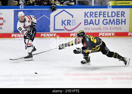 Eishockey DEL 24/25: Timocom NRW-Cup Krefeld Pinguine vs Iserlohn Roosters AM 31.8.2024 in der Yayla Arena a Krefeld Iserlohns Manuel Alberg (Nr.63) gegen Krefelds David Cerny (Nr.29) foto: Osnapix Foto Stock