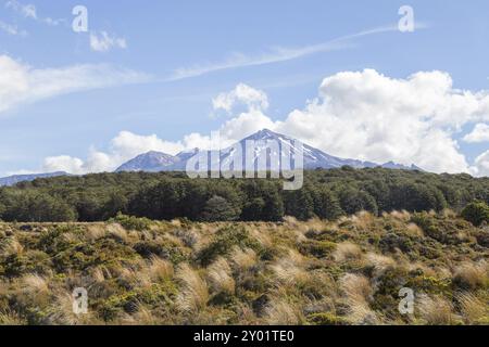 Vista del Monte Ruapehu in nuova Zelanda, vista dal circuito settentrionale di Tongariro Foto Stock