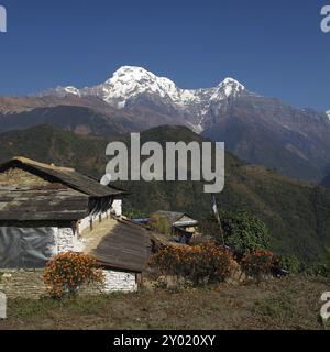 Paesaggio idilliaco nella Annapurna Conservation area, Ghandruk Foto Stock