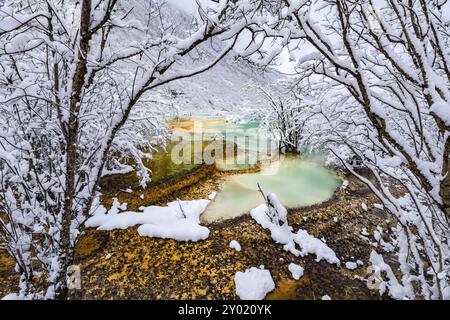 Vista di alberi con rami innevati e acqua ghiacciata nel Lago colorato di Huanglong, Sichuan, Cina, Asia Foto Stock