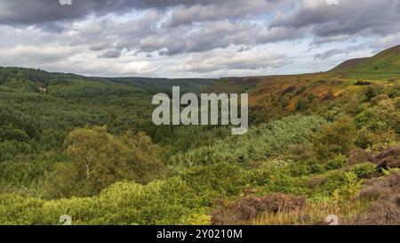 North York Moors paesaggio in Newtondale, visto dal Levisham Moor, North Yorkshire, Inghilterra, Regno Unito Foto Stock