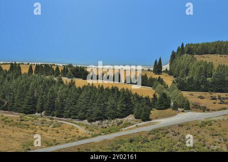 Acqua blu brillante del lago Pukaki. Foresta di pini. Scena in nuova Zelanda Foto Stock