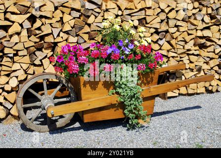 cordone decorativo con ruote riempito di vari fiori davanti a una pila di legno in baviera Foto Stock