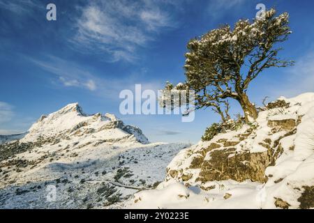 Macizo del Puig Major1436 metros, Escorca, sierra de tramontana, maiorca, isole baleari, spagna, europa Foto Stock