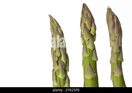 Dettaglio di asparagi verdi freschi isolati su sfondo bianco Foto Stock