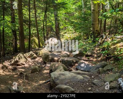 Un aspro sentiero si snoda fino alla Cascade Mountain, offrendo un'avventura impegnativa attraverso gli splendidi Adirondacks vicino al lago Placid a New Yor Foto Stock