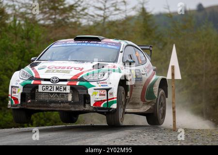 Aberystwyth, Dyfed, Regno Unito. 31 agosto 2024. 2024 FIA European Rally Championship Day 2; pilota Meirion Evans e co-pilota Jonathan Jackson nella loro Toyota GR Yaris potenza attraverso Nant Y Moch fase 8 credito: Action Plus Sports/Alamy Live News Foto Stock