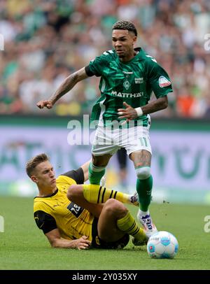 BREMA, GERMANIA - AGOSTO 31: Nico Schlotterbeck del Borussia Dortmund , Justin Njinmah del Werder Brema durante la partita di Bundesliga tra SV Werder Brema e Borussia Dortmund a Weserstadion il 31 agosto 2024 a Brema, Germania. © diebilderwelt / Alamy Stock Foto Stock