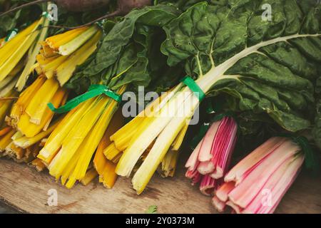 Vista dall'alto di un tavolo pieno di cestini di bietole svizzere, in mostra presso un mercato agricolo locale. Foto Stock