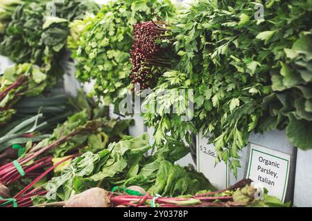 Vista di un tavolo pieno di una varietà di verdure fresche del mercato agricolo. Foto Stock