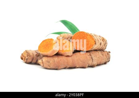 Radice di curcuma fresca isolata su fondo bianco, concetto di spezie, ( curcuma longa ) Foto Stock