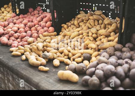 Una vista di un tavolo con una varietà di patate, visto in un mercato agricolo locale. Foto Stock