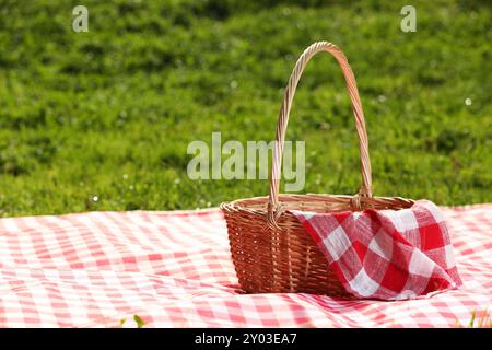 Un cestino da picnic in vimini con tovagliolo a scacchi e coperta sull'erba verde. Spazio per il testo Foto Stock