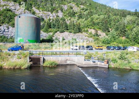 Carri armati al lago Quidi vidi a St. John's, Newfoundland & Labrador, Canada Foto Stock