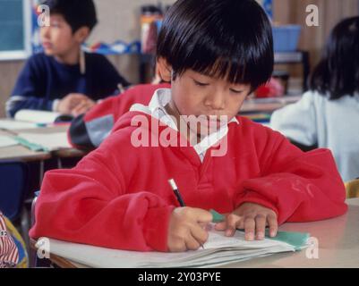 Studente vietnamita di 8 anni studia in classe bilingue alla Walnut Creek Elementary School di Austin, Texas. Terza elementare ©Bob Daemmrich Foto Stock