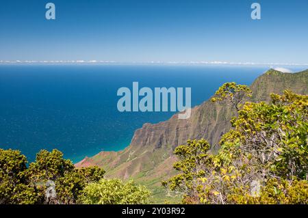 La cima del Waimea Canyon si affaccia sull'Oceano Pacifico Foto Stock