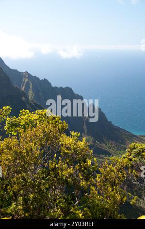 La cima del Waimea Canyon si affaccia sull'Oceano Pacifico Foto Stock