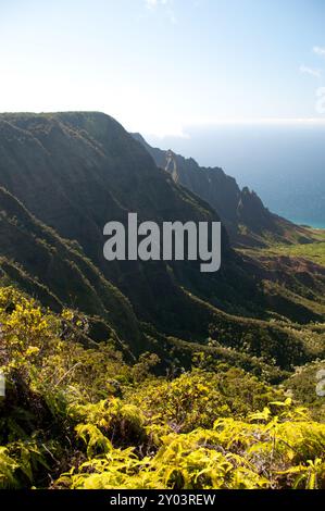 La cima del Waimea Canyon si affaccia sull'Oceano Pacifico Foto Stock