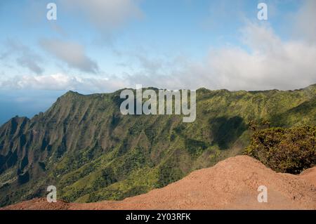 La cima del Waimea Canyon si affaccia sull'Oceano Pacifico Foto Stock