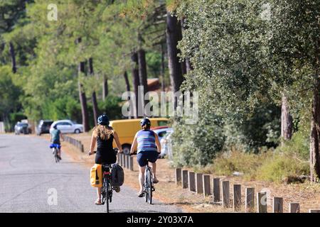 Sulle rive del lago Lacanau, parte dei grandi Laghi delle Landes nel sud-ovest della Francia. Lacanau, Gironde, Francia, Europa. Foto di Hugo Martin/Alamy. Foto Stock