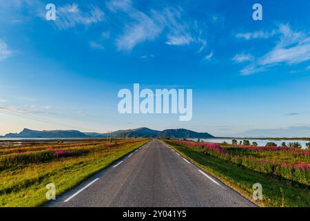 Paesaggio panoramico di Andoya con una lunga strada rettilinea che conduce all'orizzonte in Norvegia. Itinerario turistico nazionale in Norvegia. Itinerario turistico nazionale su Andoya, Nordland, Norvegia Foto Stock