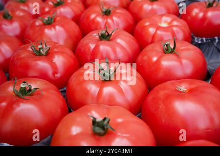 Pomodori di bistecca in esposizione Foto Stock