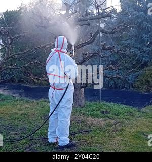 Irrorazione di prodotti chimici di protezione sul campo coltivazione del terreno mediante prodotti chimici Foto Stock